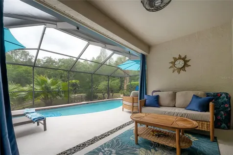 3654 Darston Street Palm Harbor FL 34685