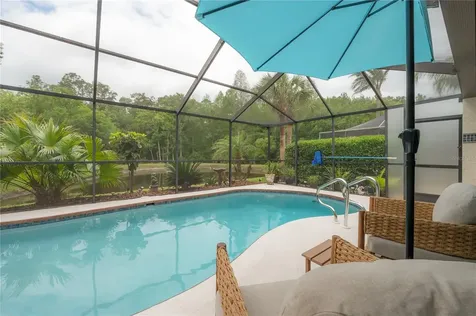 3654 Darston Street Palm Harbor FL 34685