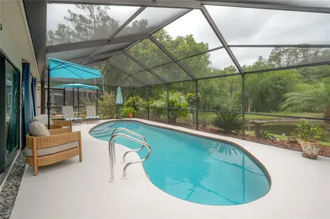 3654 Darston Street Palm Harbor FL 34685