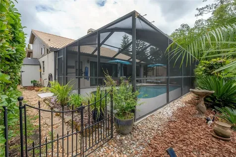 3654 Darston Street Palm Harbor FL 34685