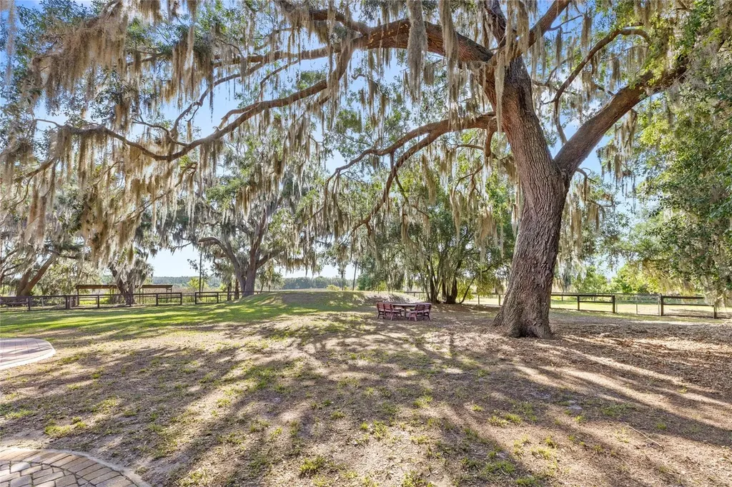10925 Arrowtree Boulevard Clermont FL 34715
