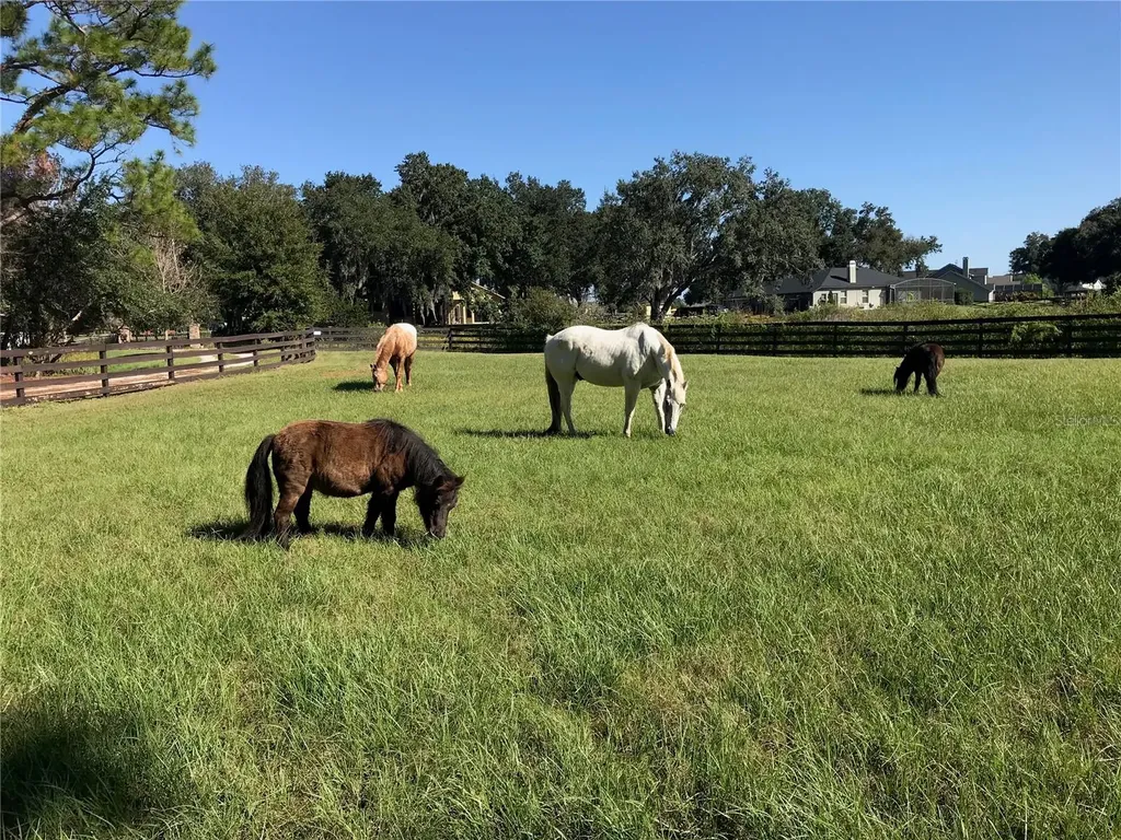 10925 Arrowtree Boulevard Clermont FL 34715