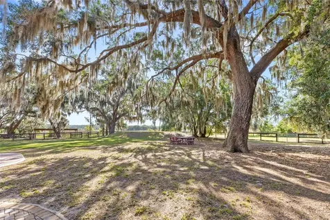 10925 Arrowtree Boulevard Clermont FL 34715