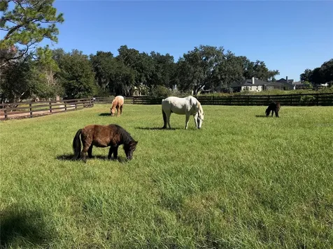 10925 Arrowtree Boulevard Clermont FL 34715