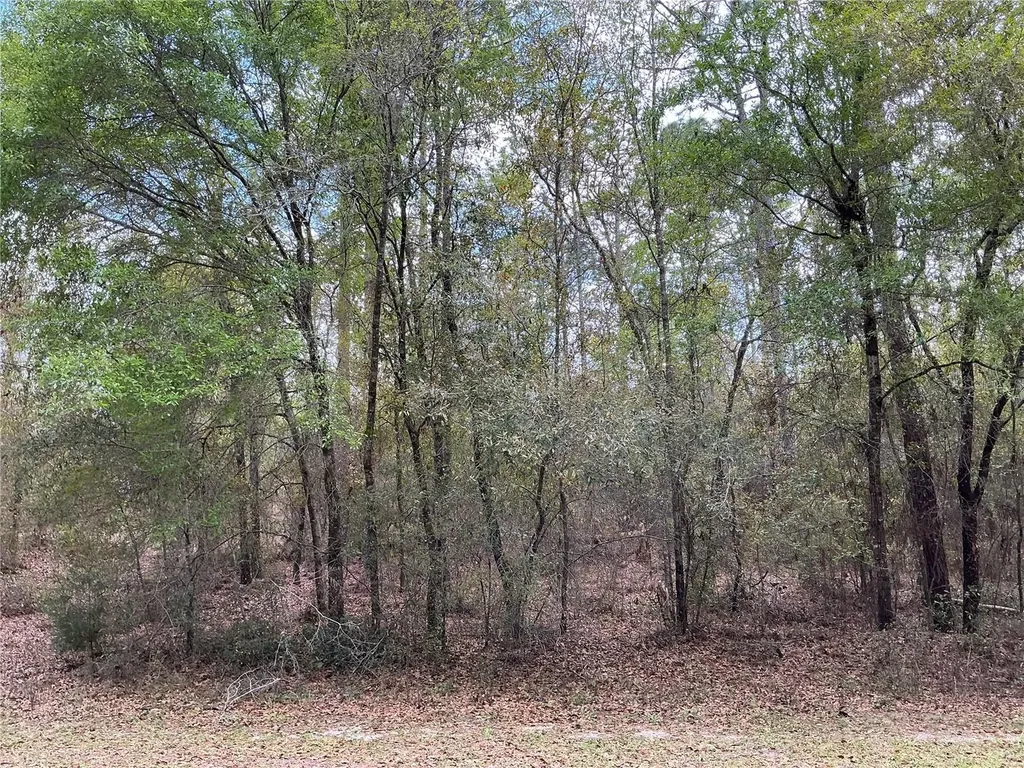SW 208th Circle Dunnellon FL 34431