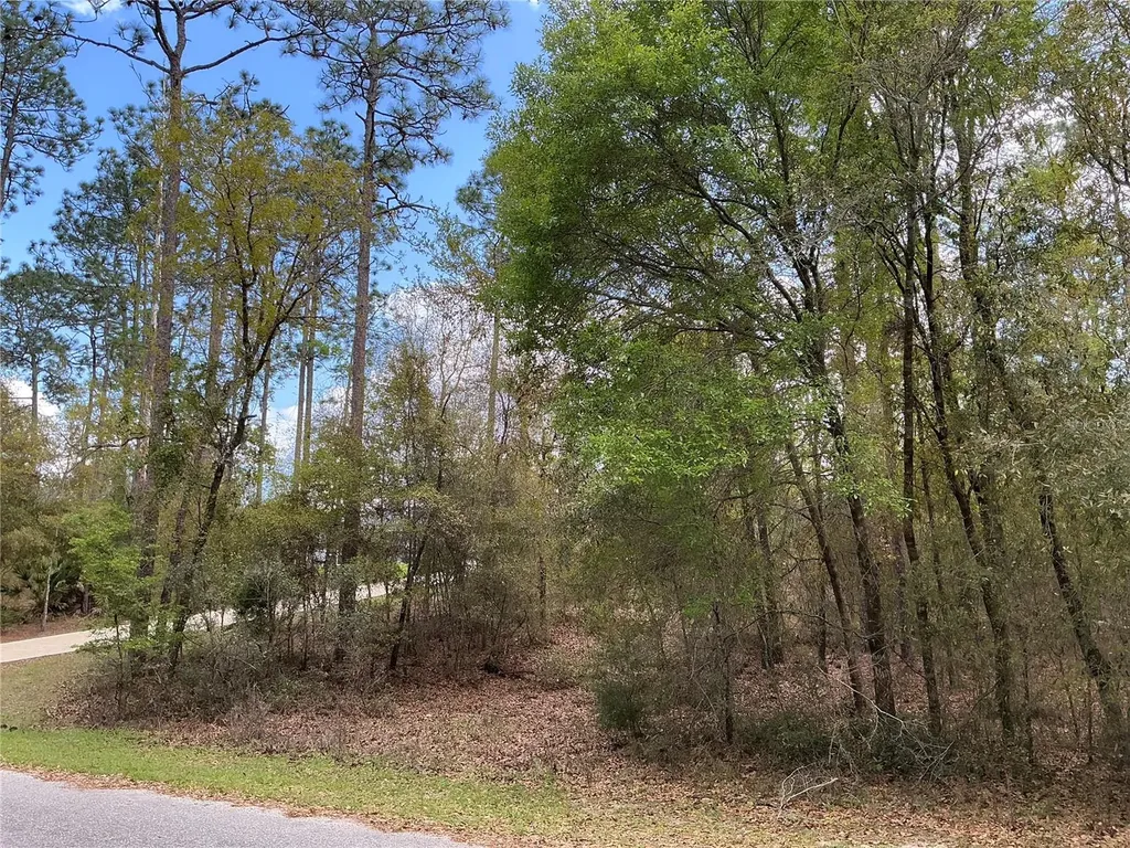 SW 208th Circle Dunnellon FL 34431