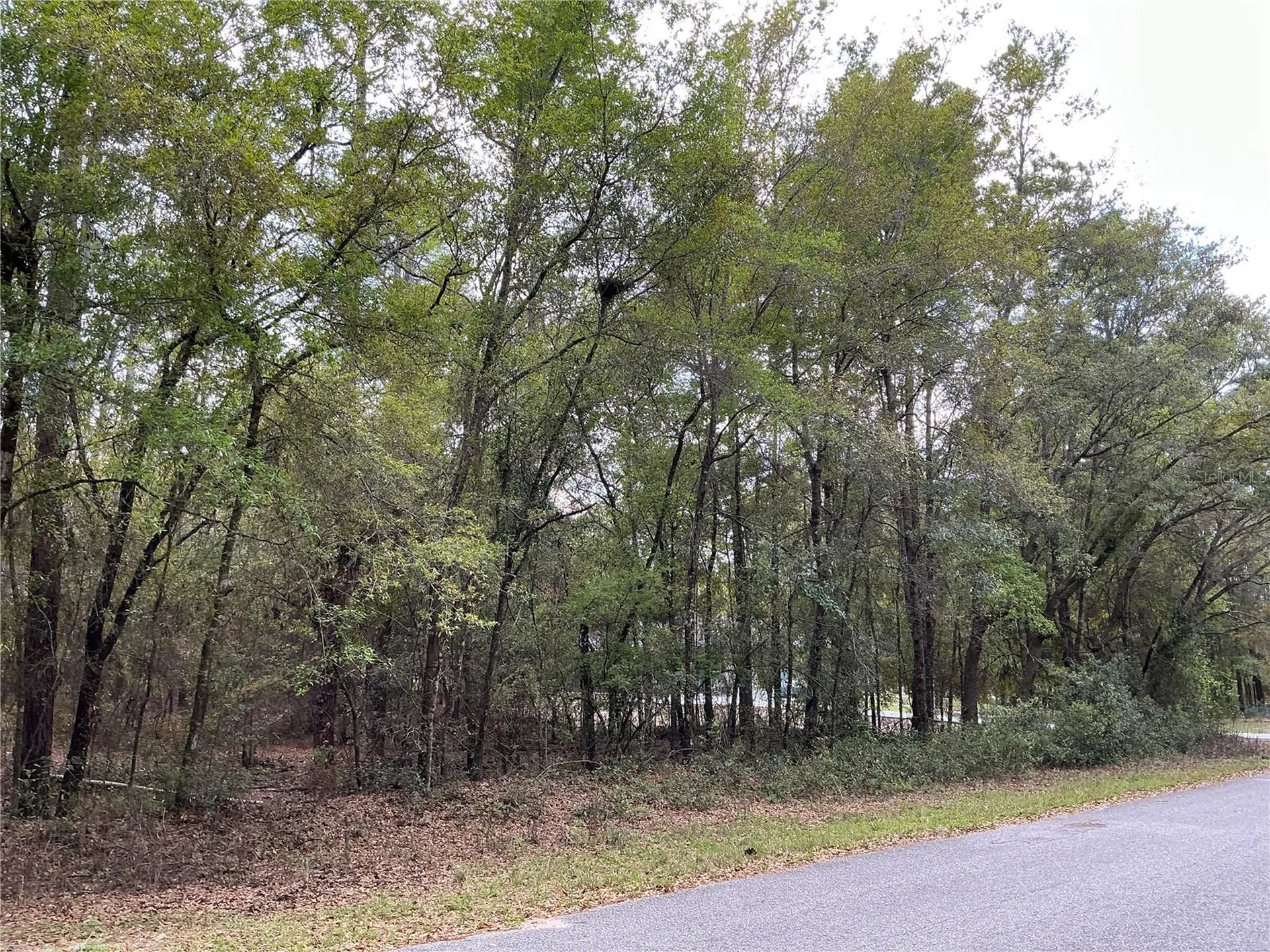 SW 208th Circle Dunnellon FL 34431
