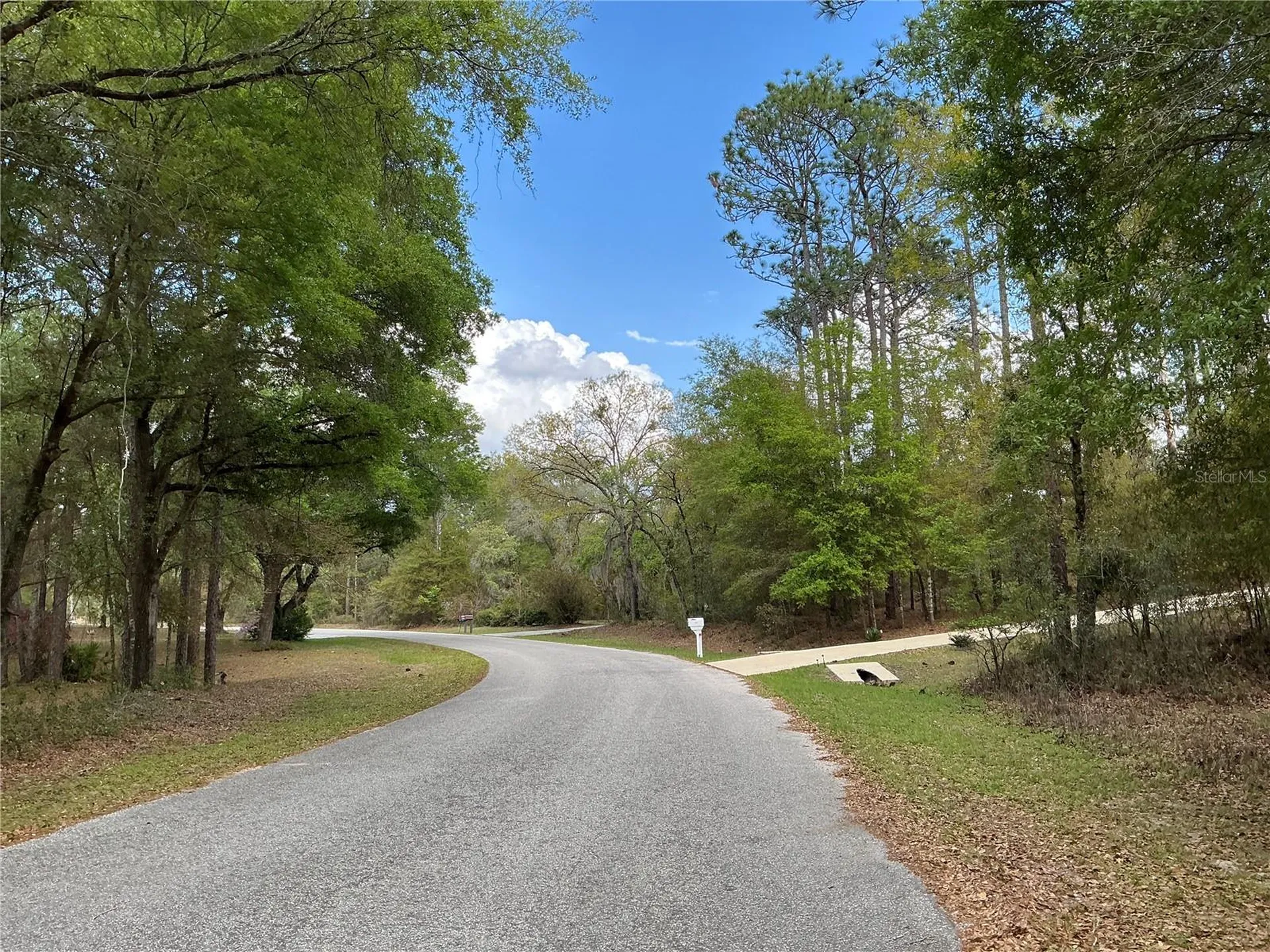 SW 208th Circle Dunnellon FL 34431