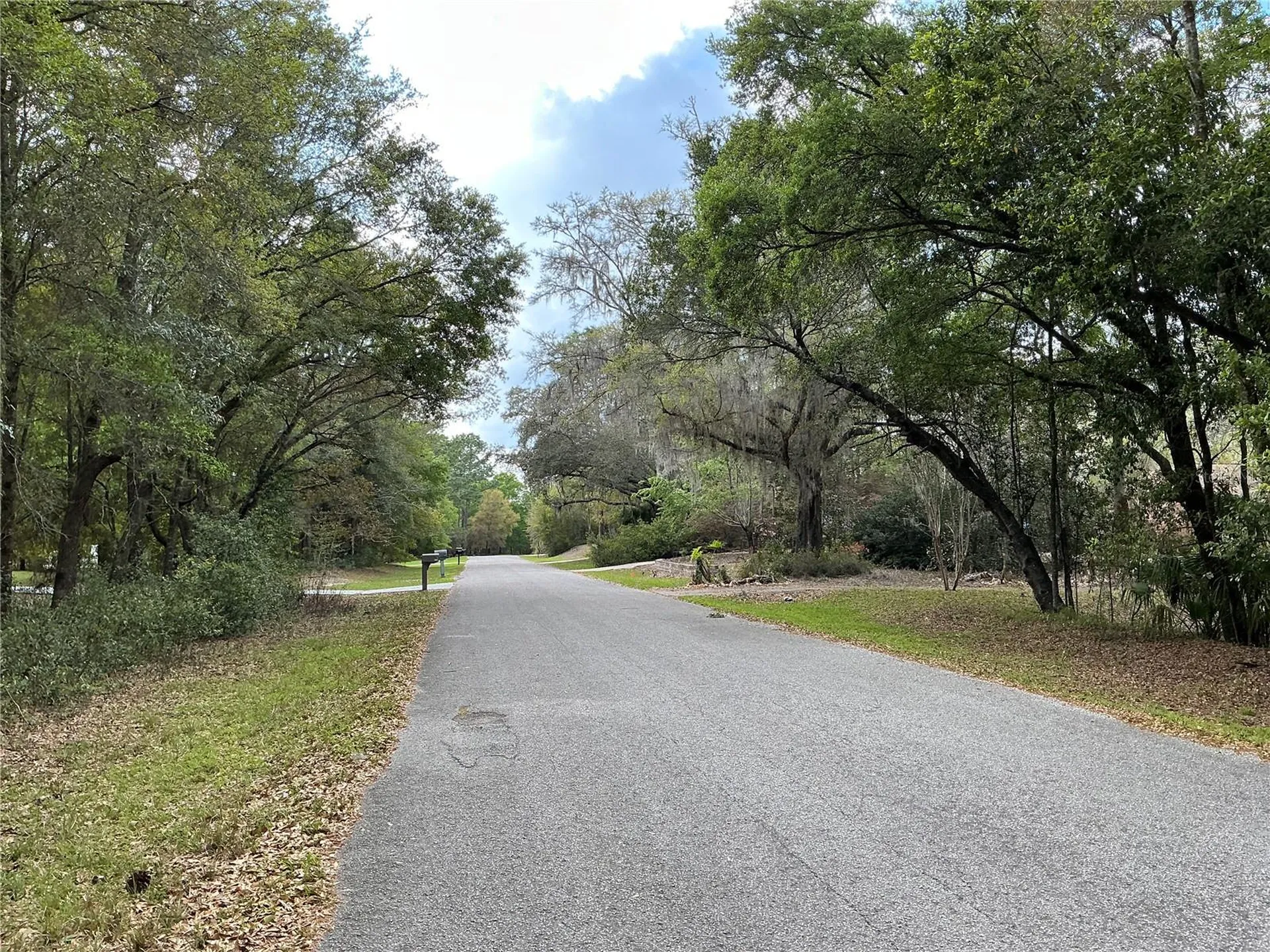 SW 208th Circle Dunnellon FL 34431