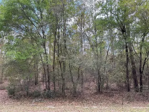 SW 208th Circle Dunnellon FL 34431