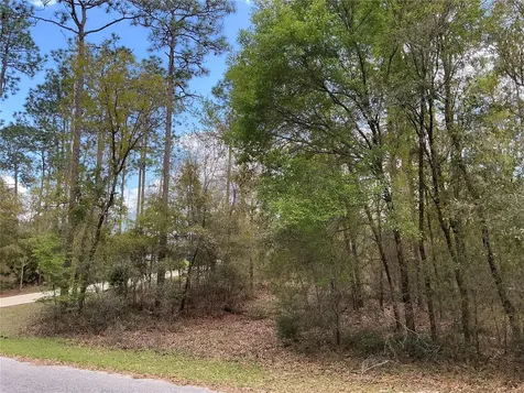 SW 208th Circle Dunnellon FL 34431