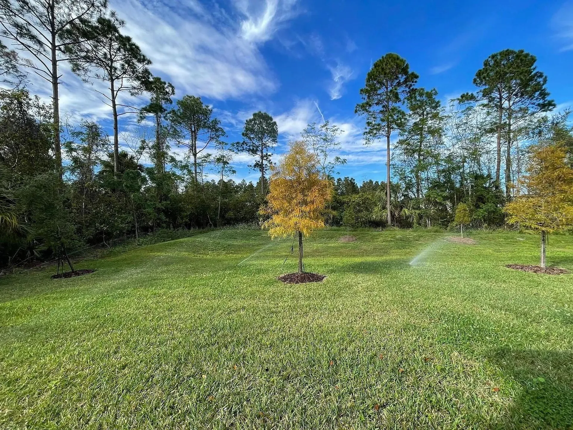 17135 Cagan Crossings Boulevard Clermont FL 34714