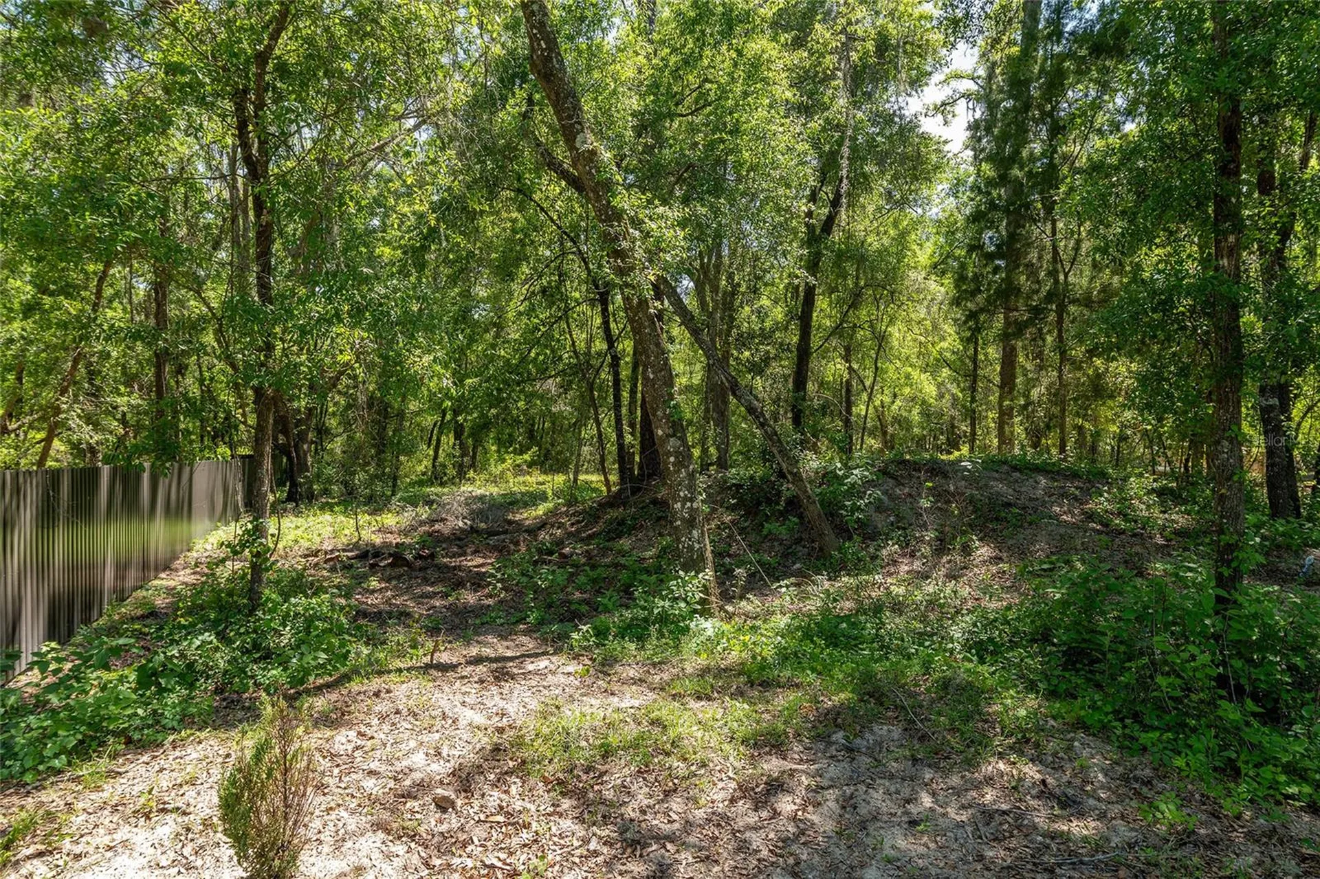 20264 SW 69th Place Dunnellon FL 34431
