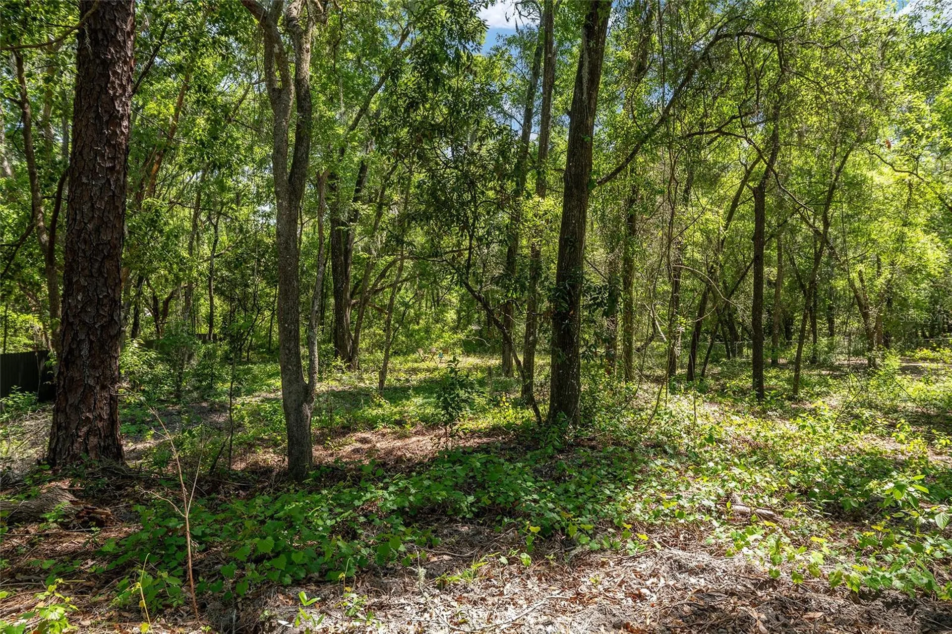 20264 SW 69th Place Dunnellon FL 34431