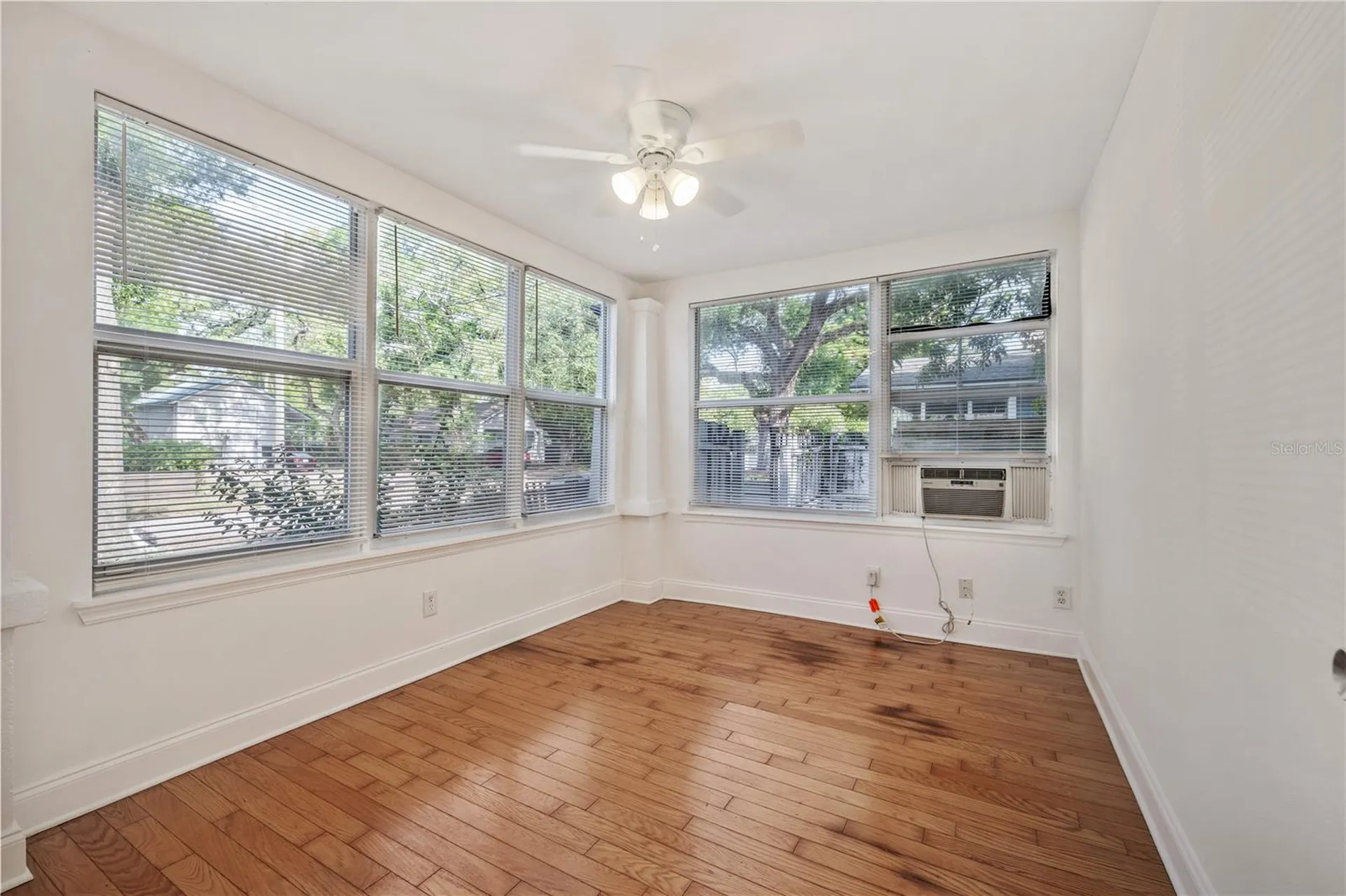 6703 N Elizabeth Street Tampa FL 33604