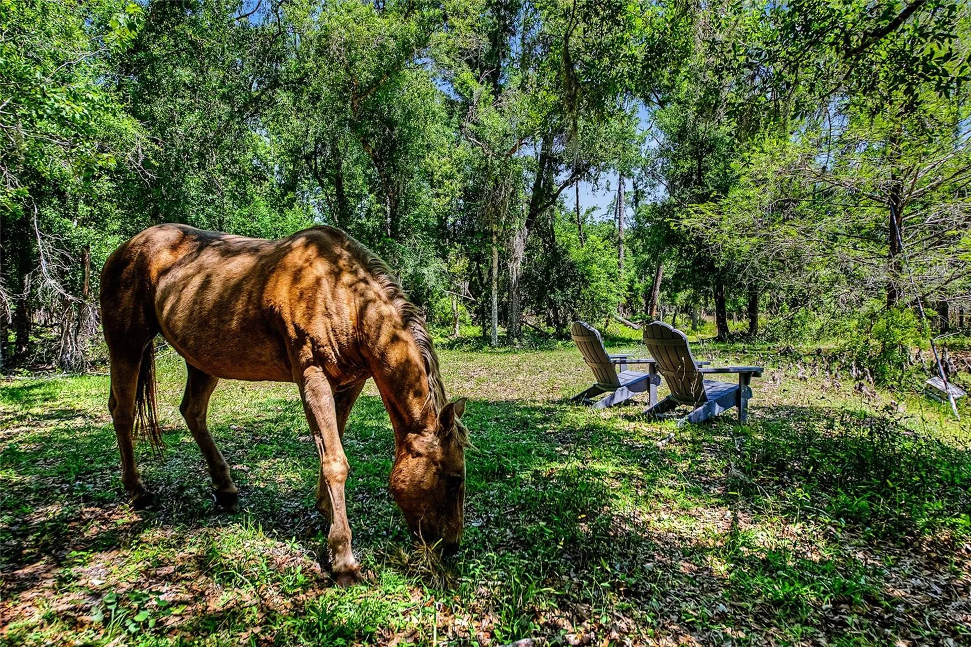 15750 Wilson Road Sarasota FL 34240