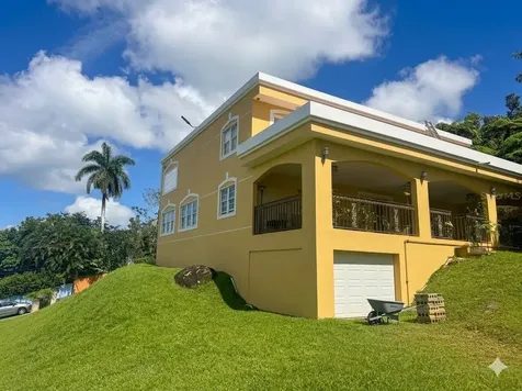 Bo Beatriz Las Piñas Finca Mi Recreo Lot 28 Caguas PR 00725