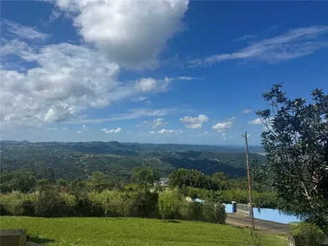 Bo Beatriz Las Piñas Finca Mi Recreo Lot 28 Caguas PR 00725