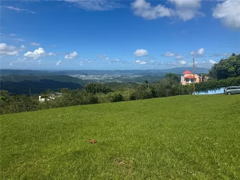 Bo Beatriz Las Piñas Finca Mi Recreo Lot 28 Caguas PR 00725