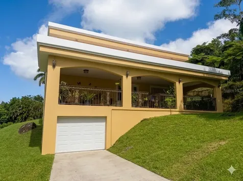 Bo Beatriz Las Piñas Finca Mi Recreo Lot 28 Caguas PR 00725