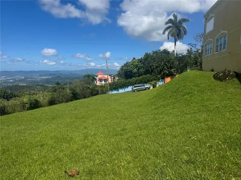 Bo Beatriz Las Piñas Finca Mi Recreo Lot 28 Caguas PR 00725