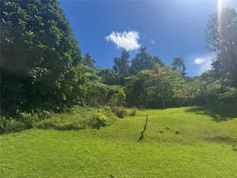 Bo Beatriz Las Piñas Finca Mi Recreo Lot 28 Caguas PR 00725