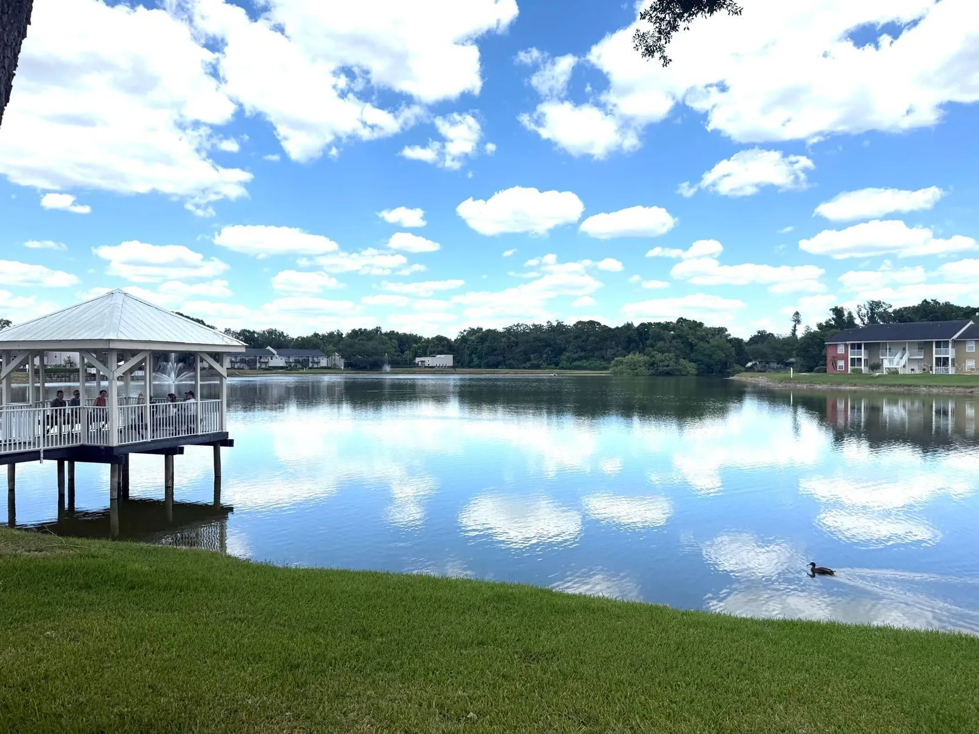 308 Lake Parsons Green Brandon FL 33511