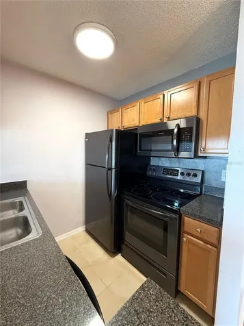 308 Lake Parsons Green Brandon FL 33511