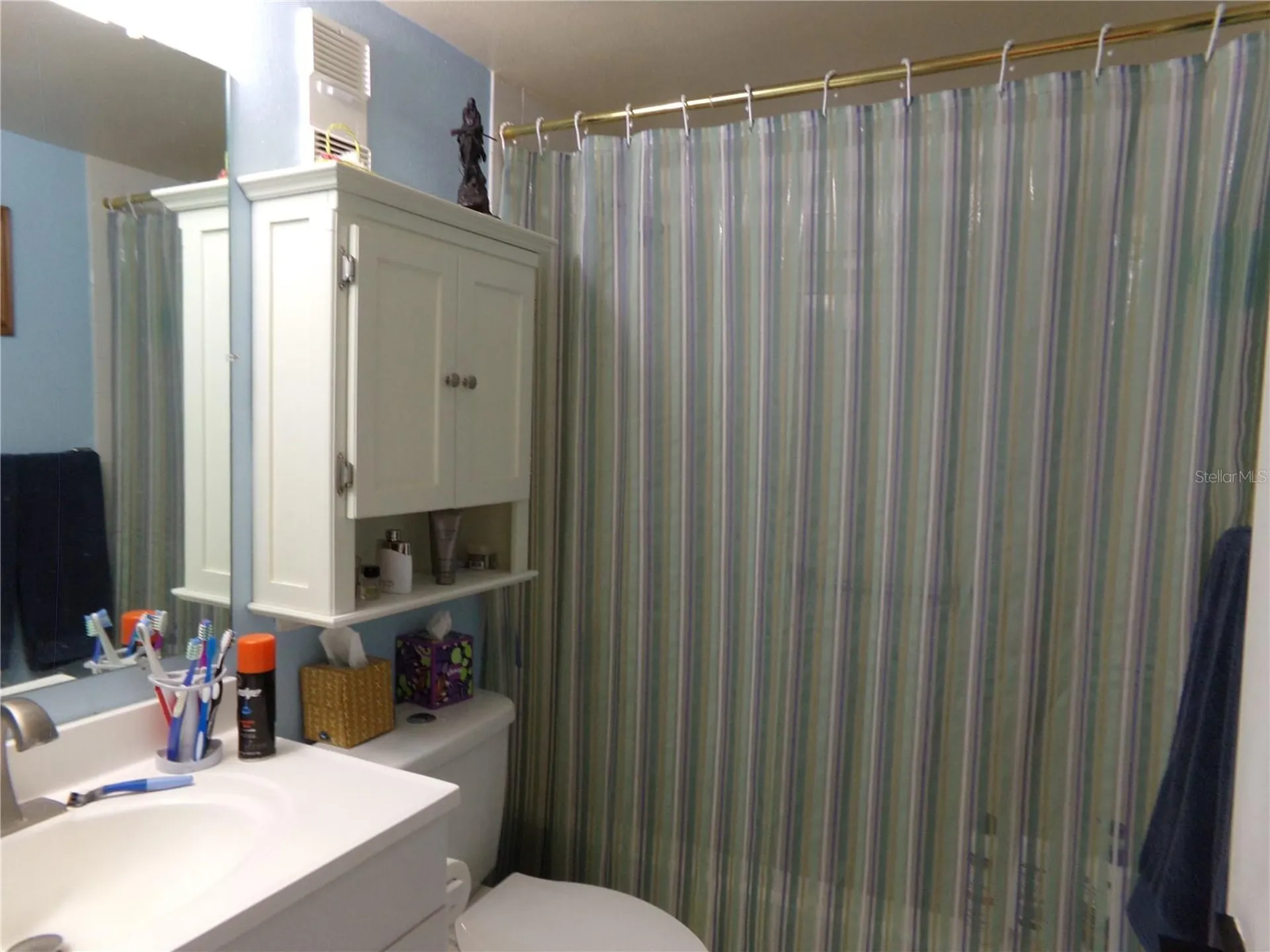 110 Cypress Woods Court Deltona FL 32725