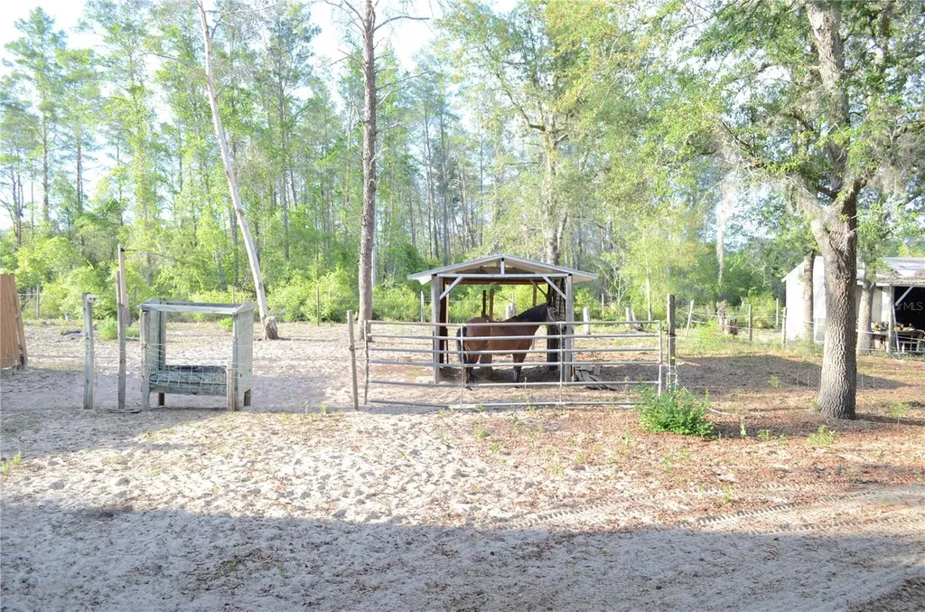 591 SE Fisher Road Ocklawaha FL 32179
