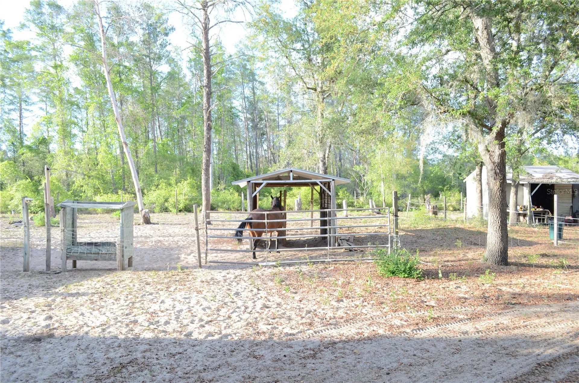 591 SE Fisher Road Ocklawaha FL 32179