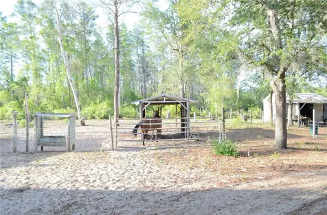 591 SE Fisher Road Ocklawaha FL 32179