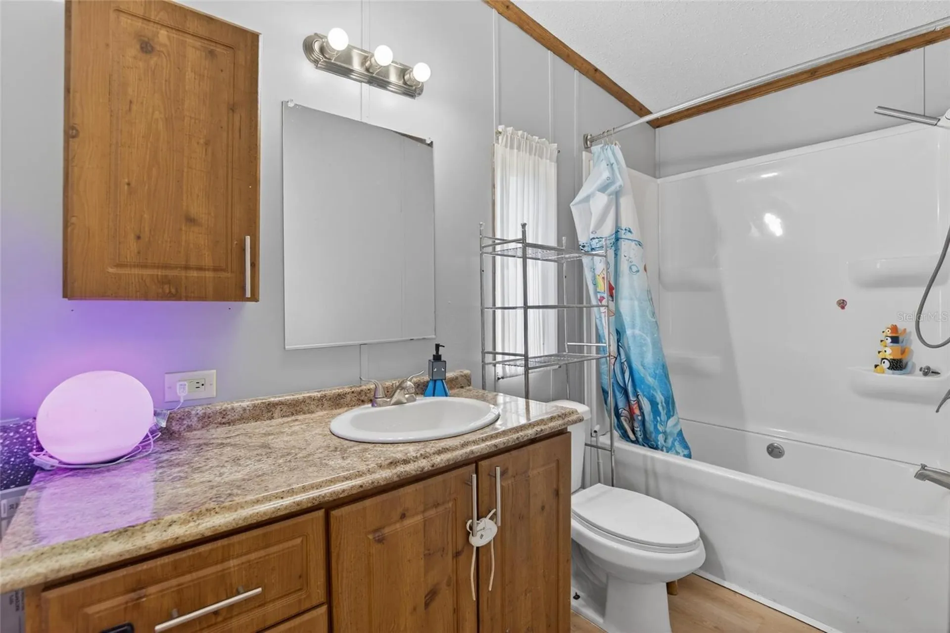 3991 Shady Court Mulberry FL 33860