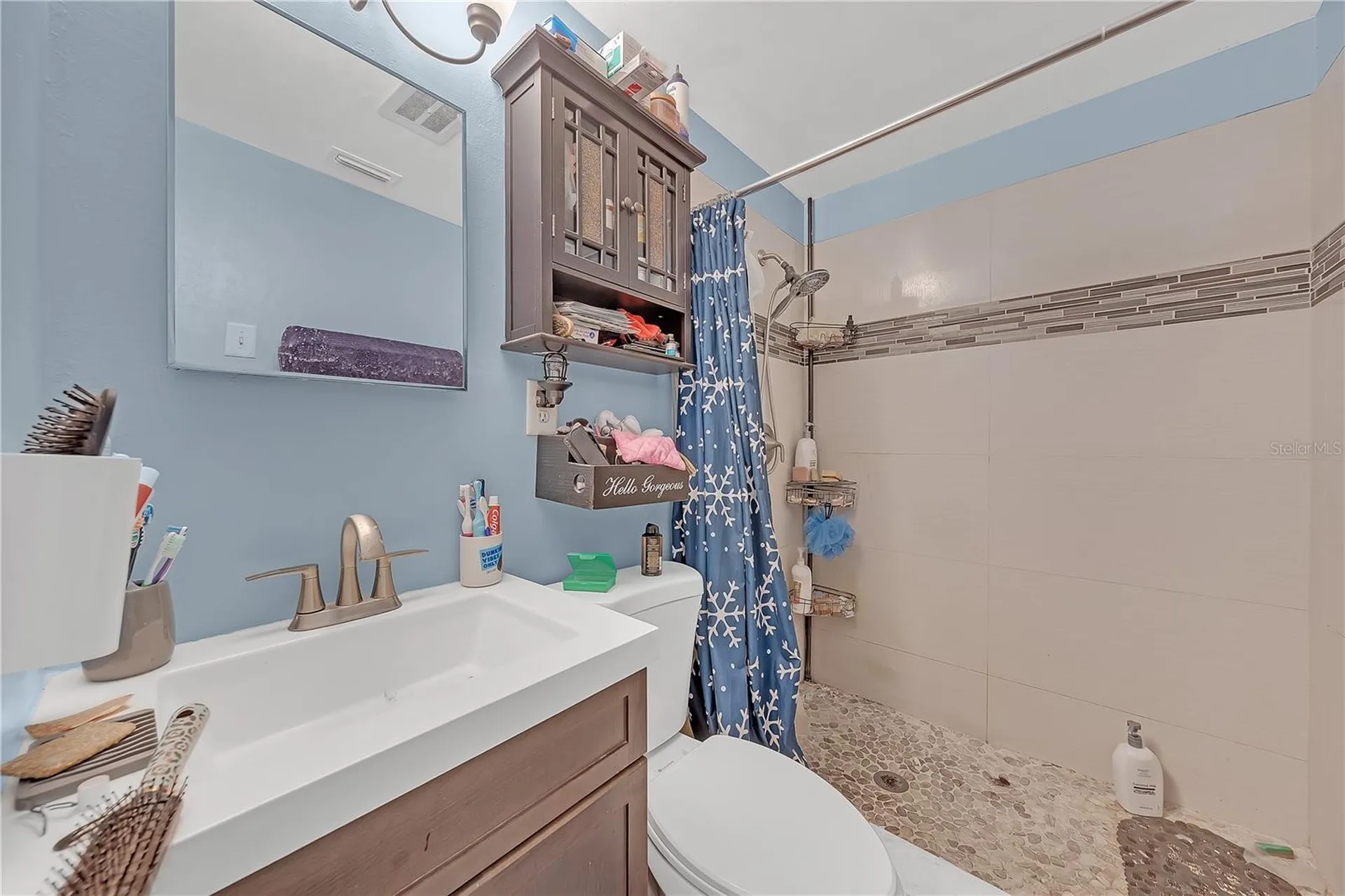 1414 Whitehall Lane Holiday FL 34691