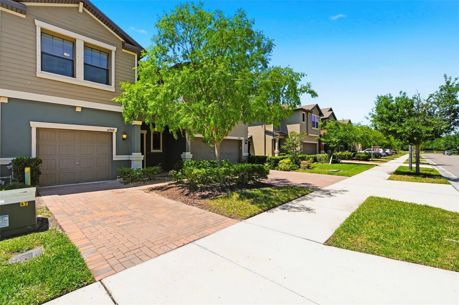 16948 Storyline Drive Land O Lakes FL 34638