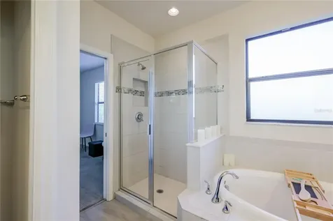 4868 Wandering Way Wesley Chapel FL 33544