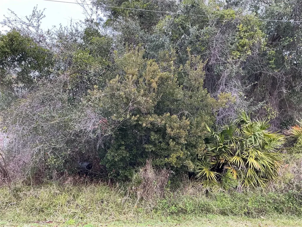 12 Fayy Lane Palm Coast FL 32137