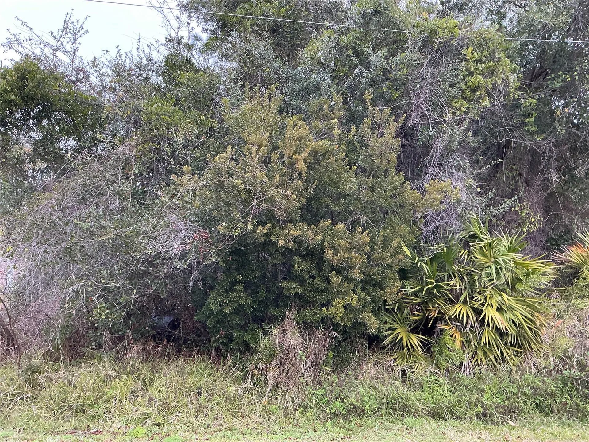 12 Fayy Lane Palm Coast FL 32137