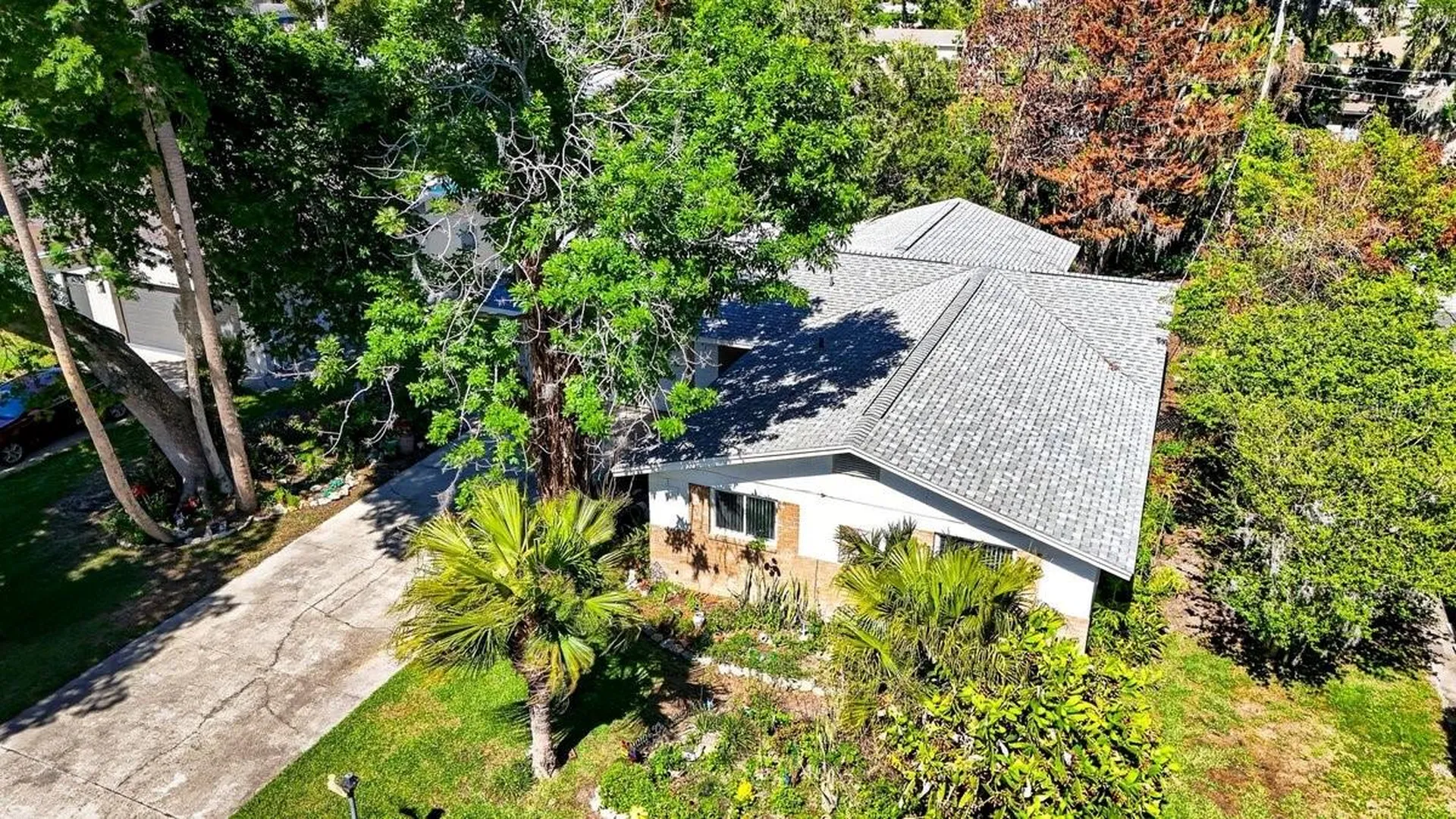 2217 Green Street South Daytona FL 32119