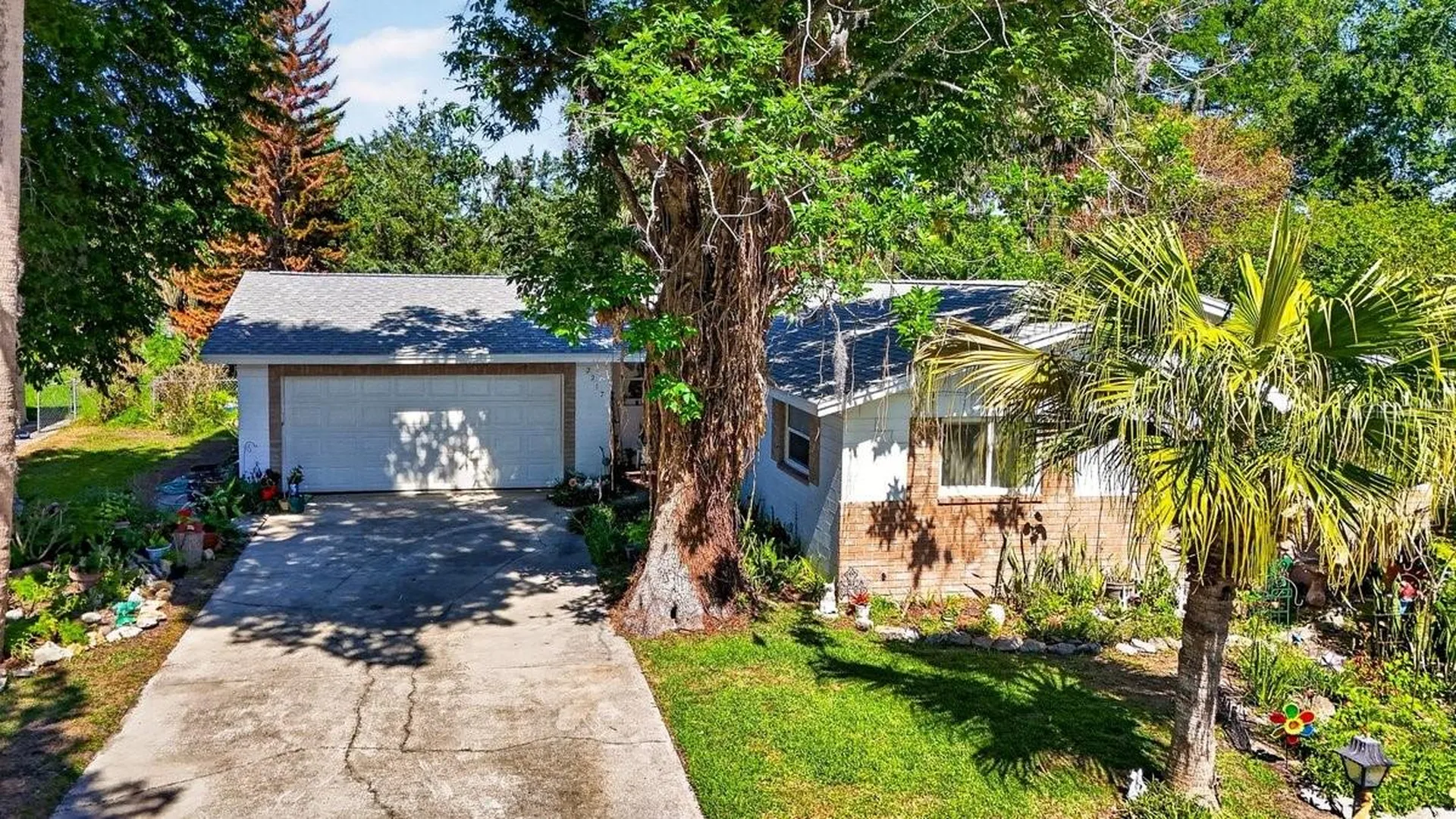 2217 Green Street South Daytona FL 32119