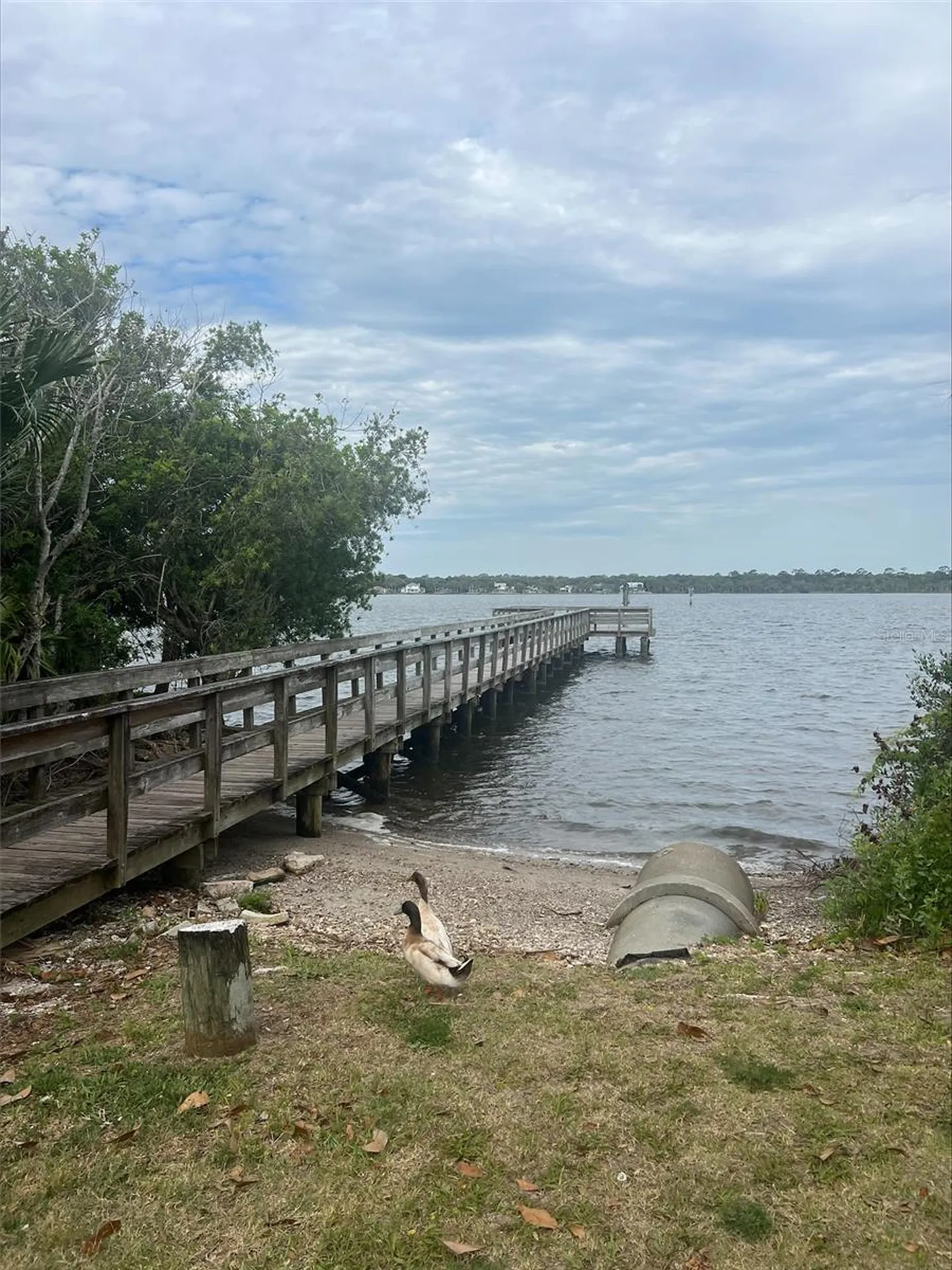 47 Carol Road Ormond Beach FL 32176