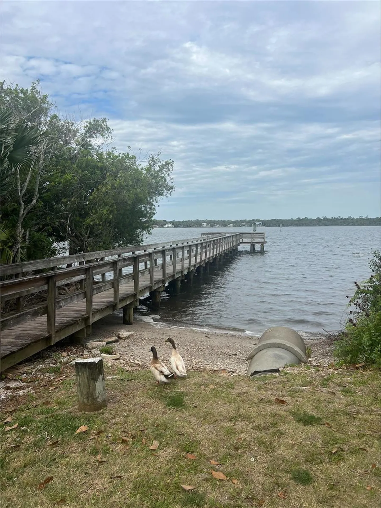 47 Carol Road Ormond Beach FL 32176