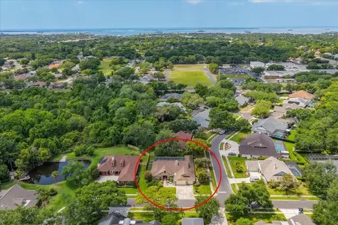 325 Sheffield Circle W Palm Harbor FL 34683
