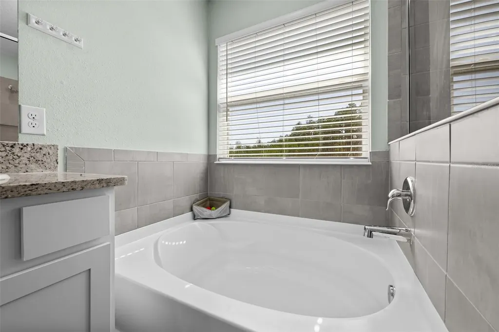 8693 Bower Bass Circle Wesley Chapel FL 33545