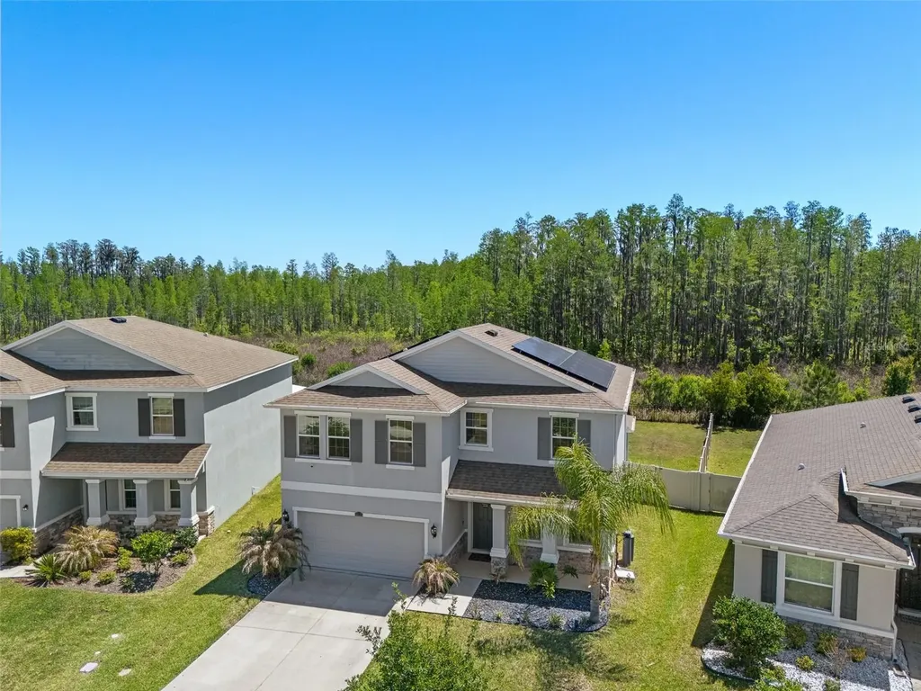 8693 Bower Bass Circle Wesley Chapel FL 33545