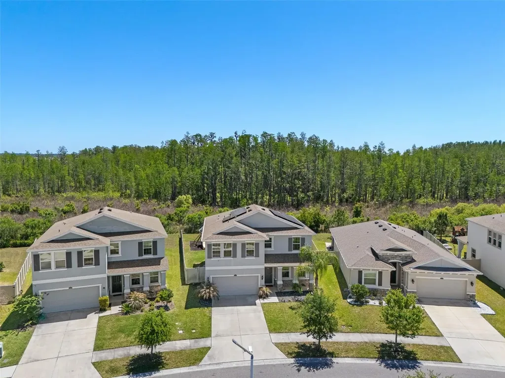8693 Bower Bass Circle Wesley Chapel FL 33545