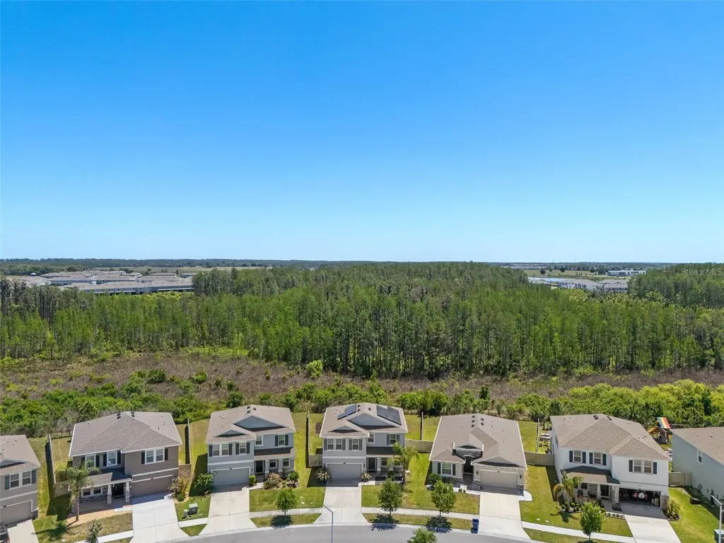 8693 Bower Bass Circle Wesley Chapel FL 33545