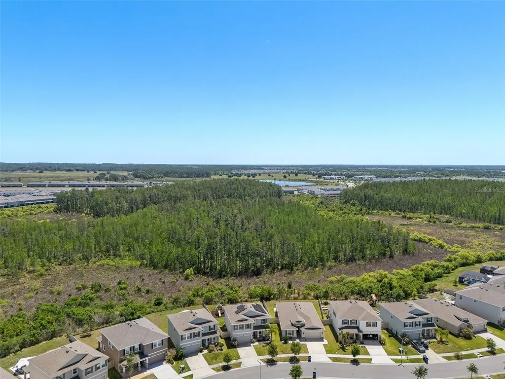 8693 Bower Bass Circle Wesley Chapel FL 33545