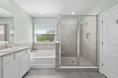 8693 Bower Bass Circle Wesley Chapel FL 33545