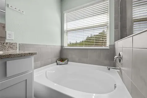 8693 Bower Bass Circle Wesley Chapel FL 33545